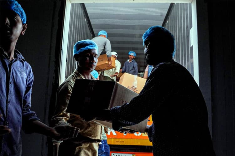 Tiga Ribu Kambing Dam Petugas dan Jemaah Haji, Dagingnya Dikirim Ke Tanah Air